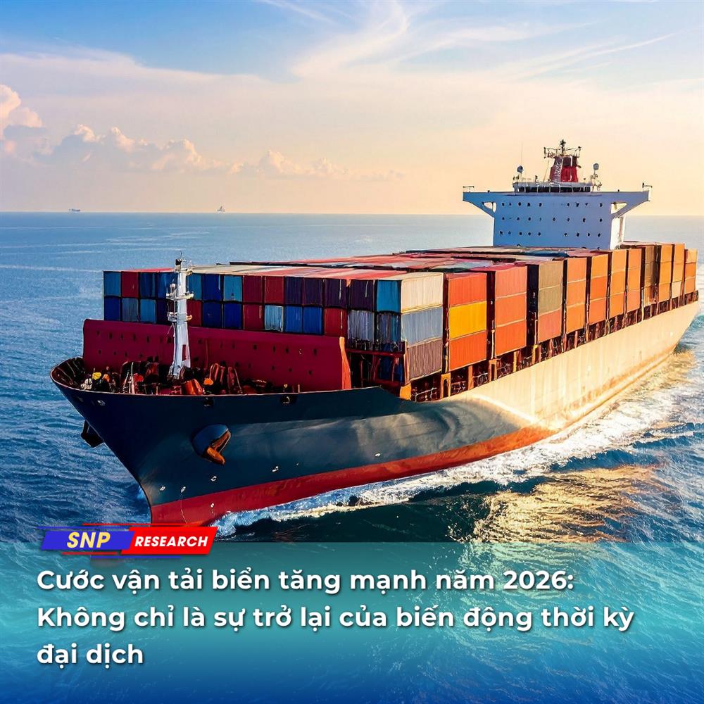 Cước vận tải biển tăng mạnh năm 2026: Không chỉ là sự trở lại của biến động thời kỳ đại dịch
